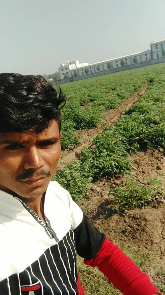 @user4228540112340