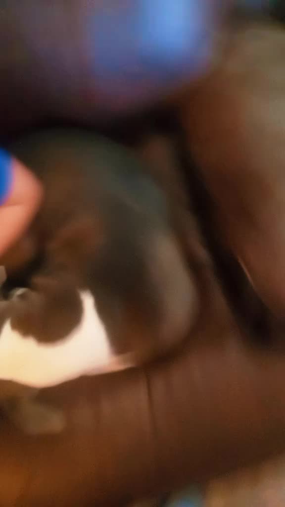 @user4375484385320
