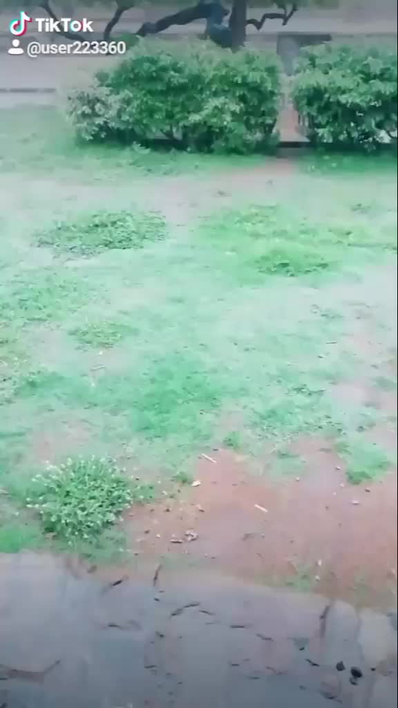 @RamyaRajan