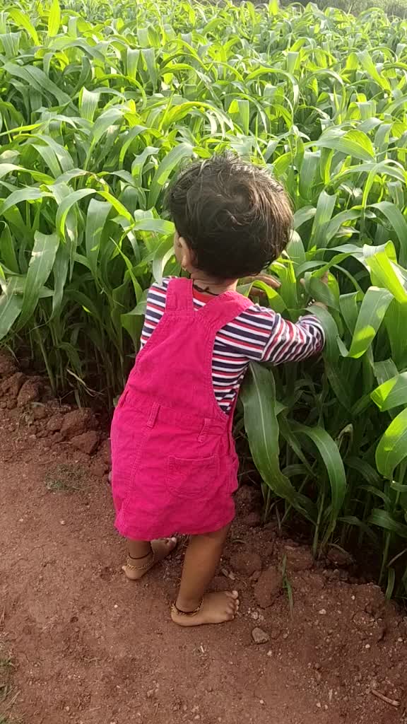 @sonali suryawanshi.