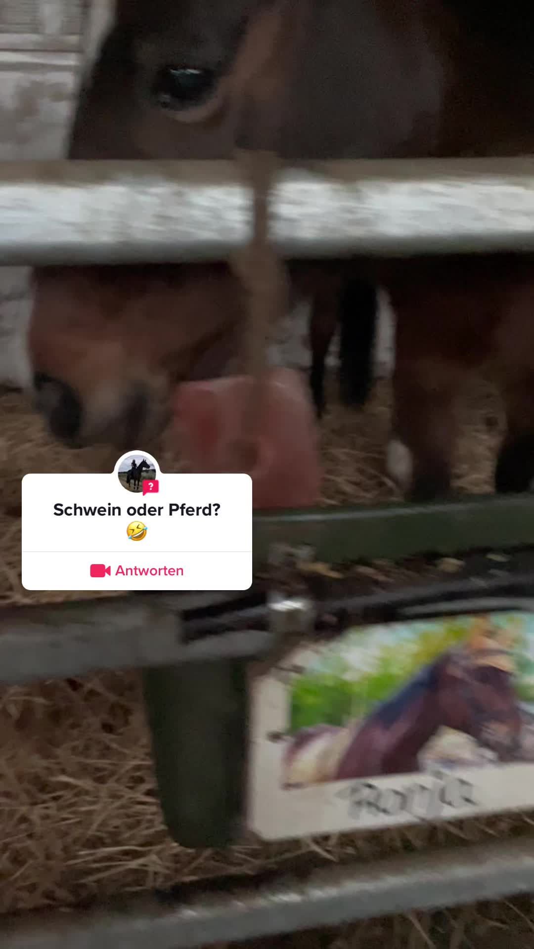@Sluggi ๐๏ธ๐๐๏ธ