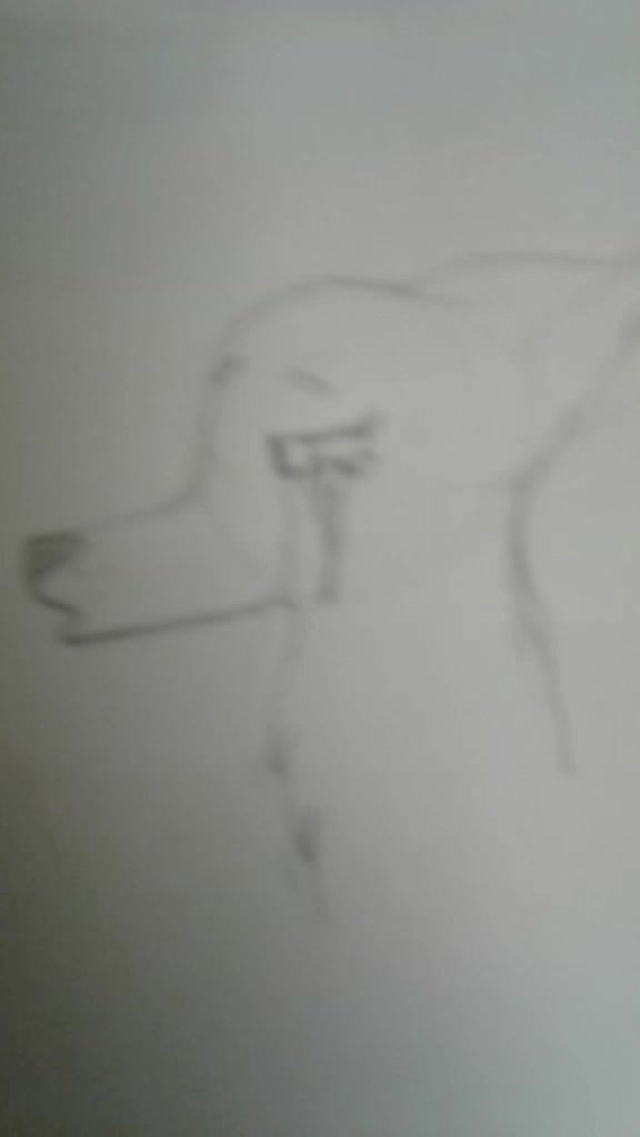 @love_wolf_underfell