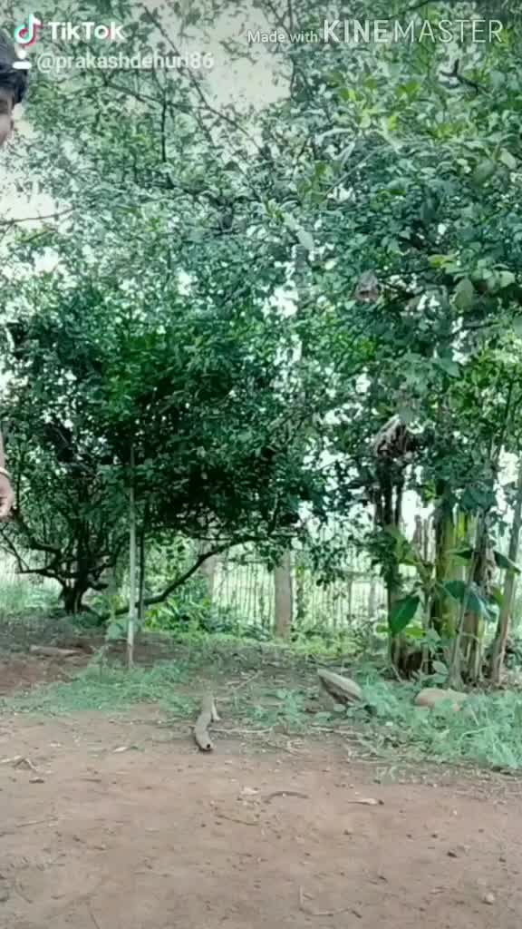 @👉Prakash💘 Dehuri🥀