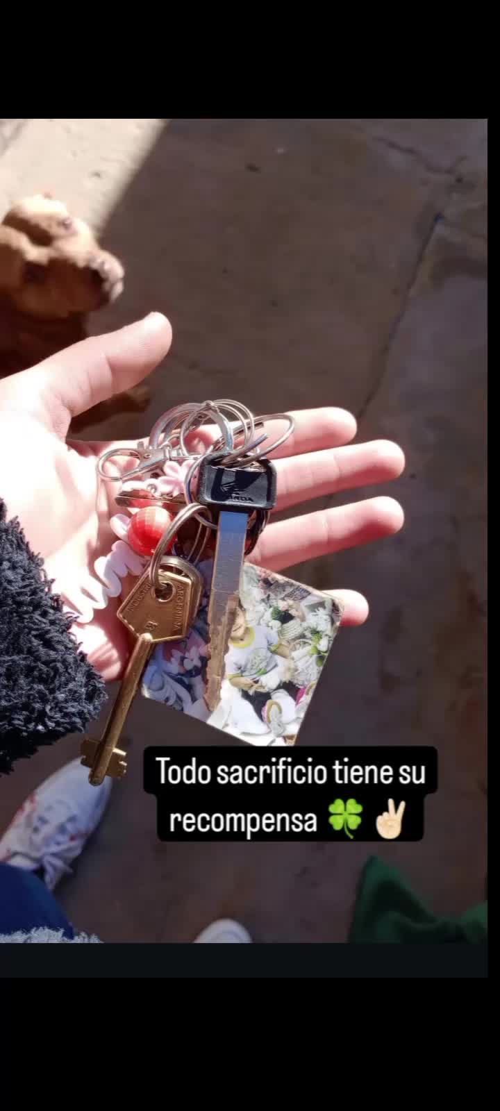 @Dani herrera