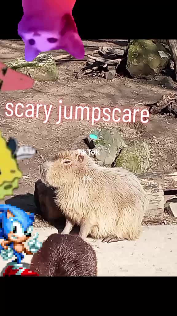 @lenny the litter