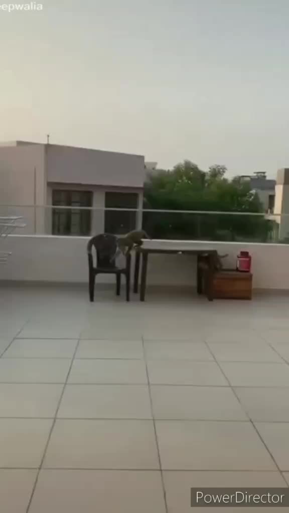@HR 20 WALA BAAZ 🦅