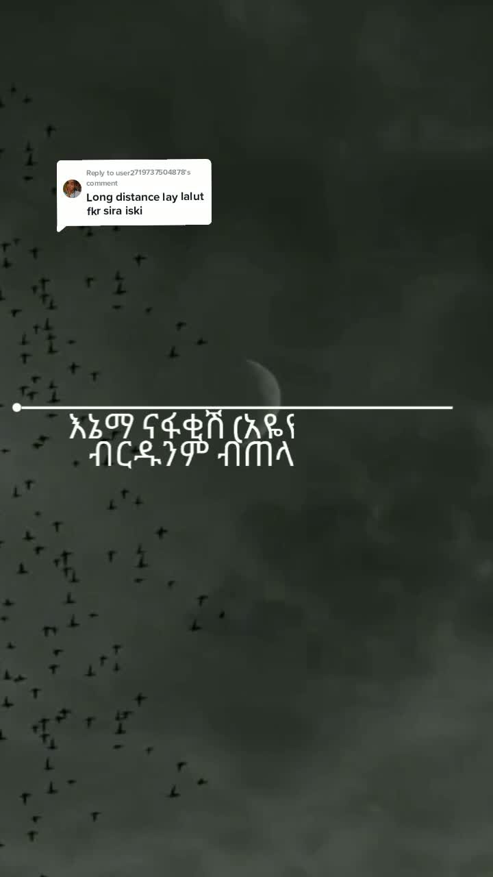 @s_________h(lyrics)