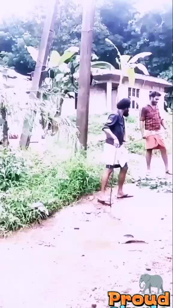 @ഒറ്റയാൻ