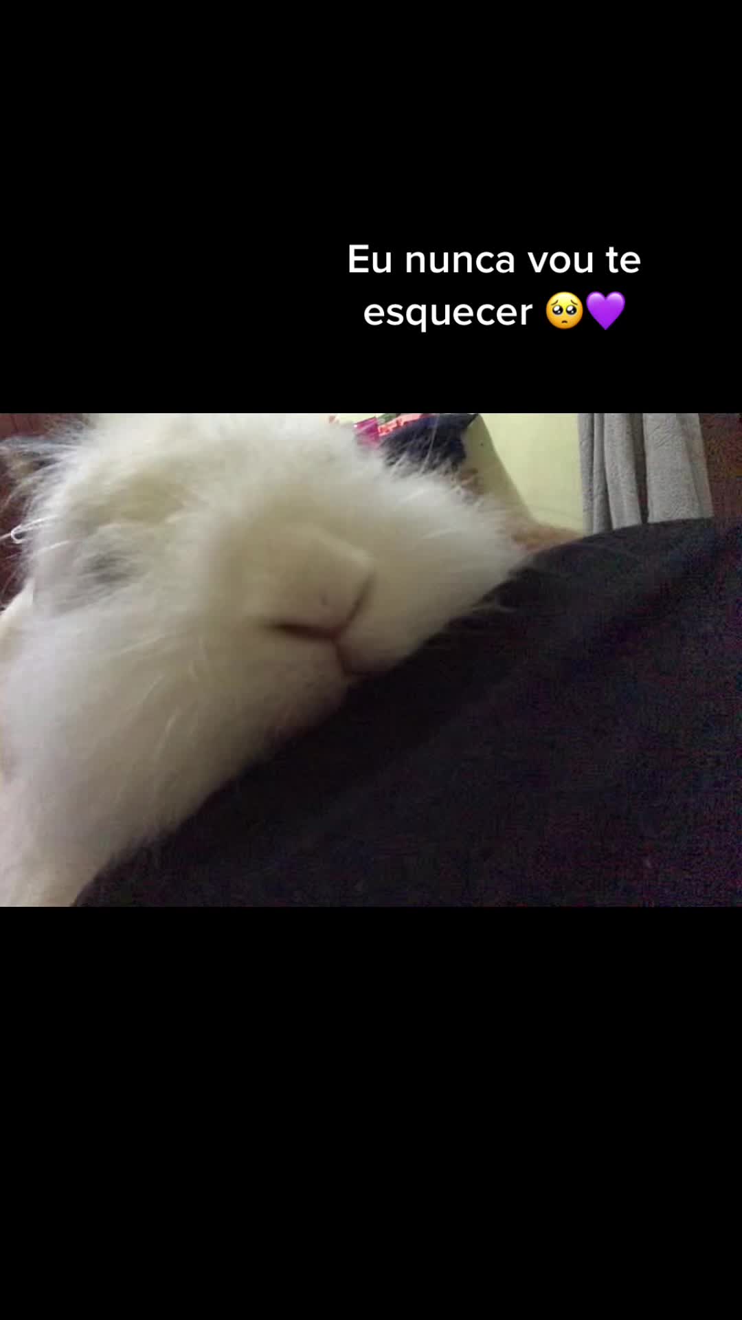 @achadinho_da_juju
