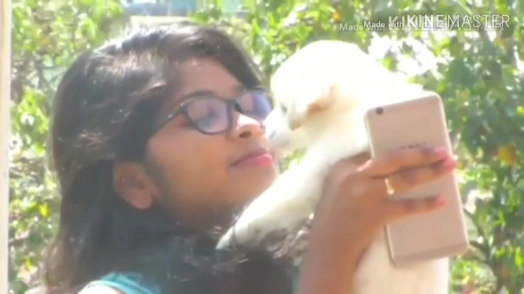 @Jeevitha Gowda