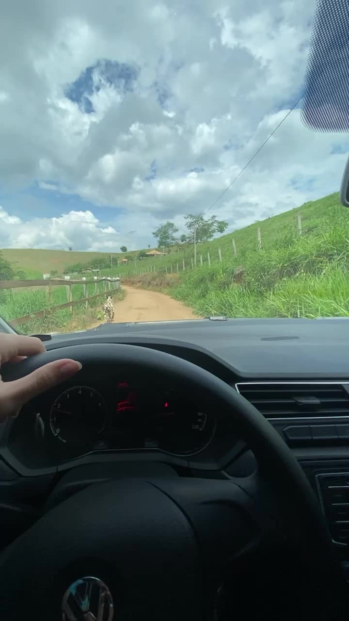 @Ariene Abreu