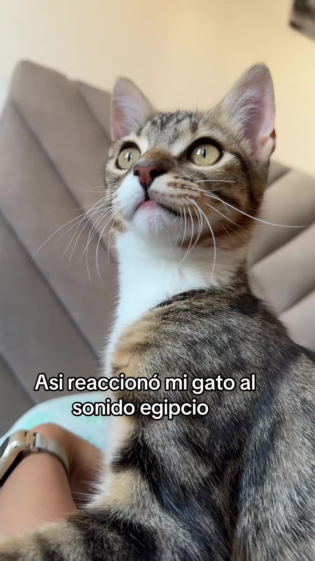 @Diana Agreda