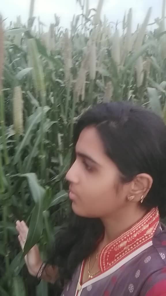 @shubhangi1112
