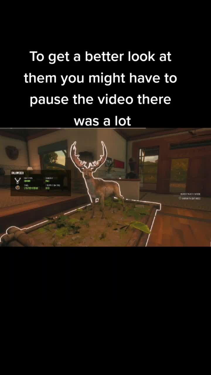 @GTAandthehuntercallofthewild
