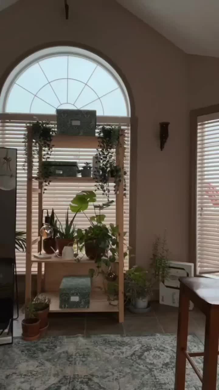 @lillie.kitty.xo