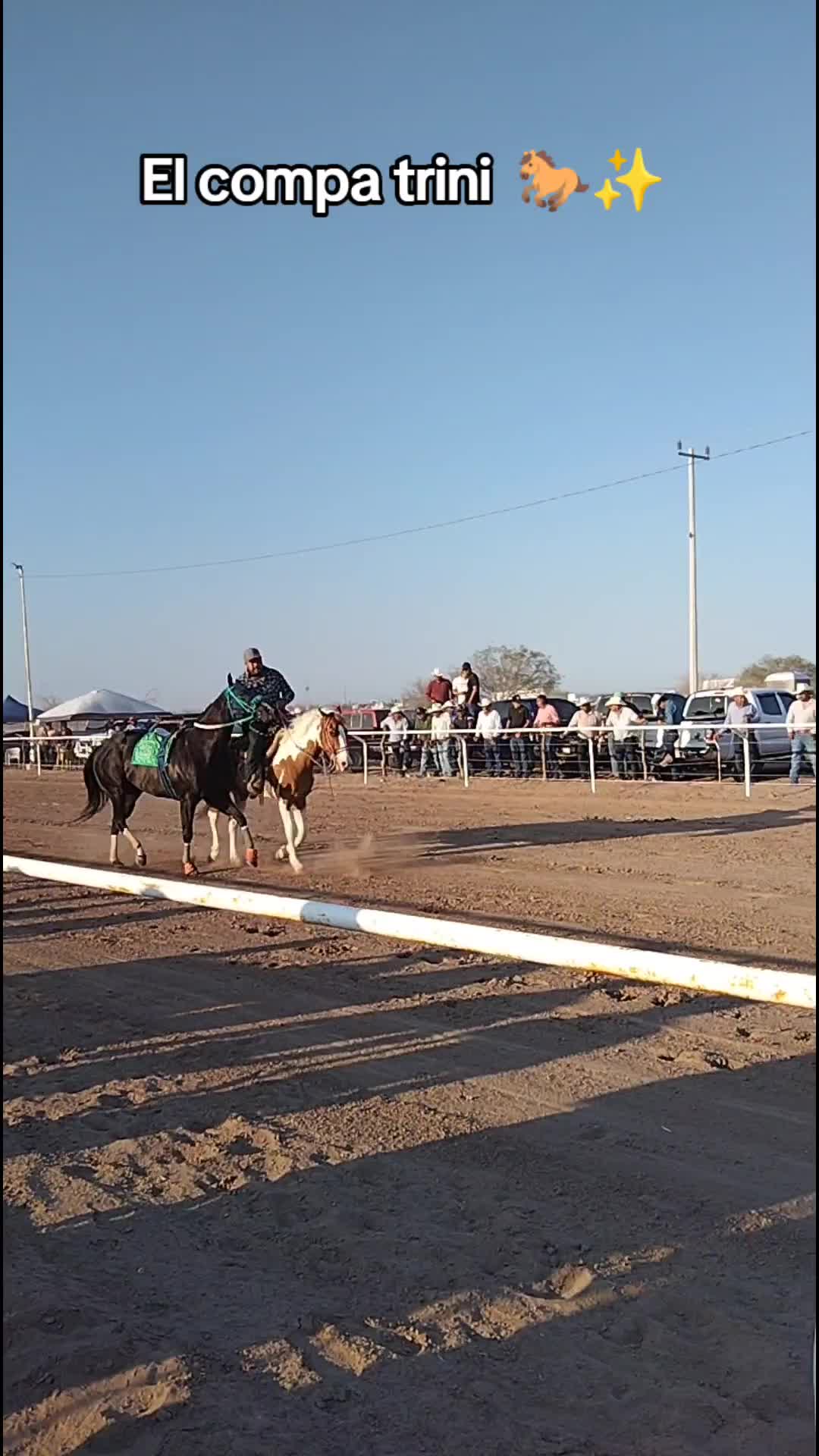 @Guillermo⚡☘️
