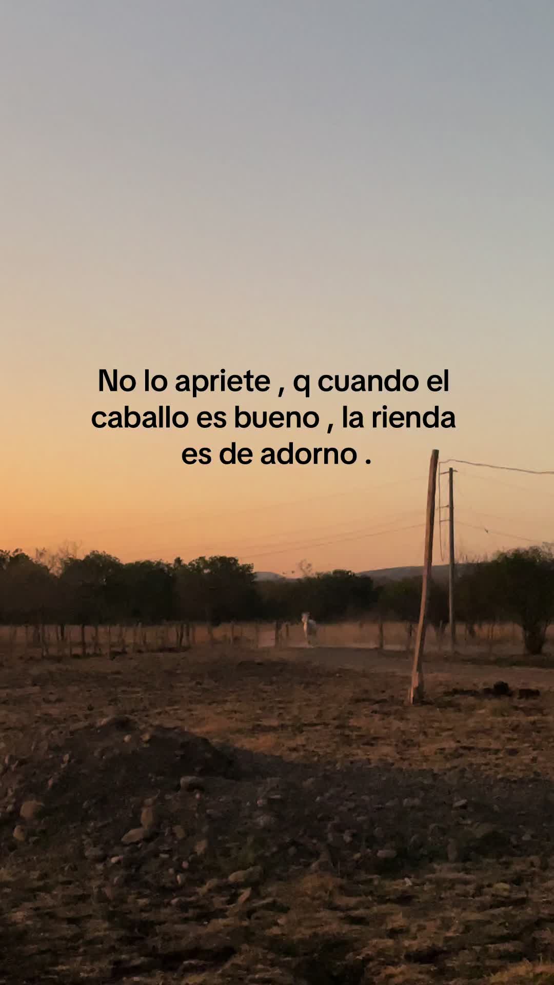 @Oriana Salgado
