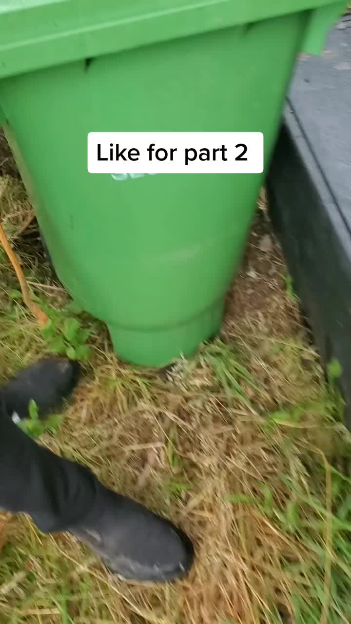 @Tracey 🇨🇦