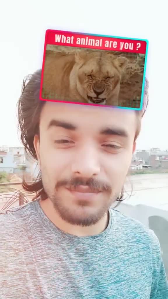 @Ankush Gandhi