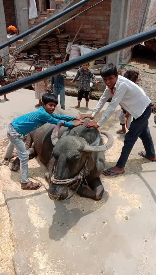 @@sharvanmalviya78