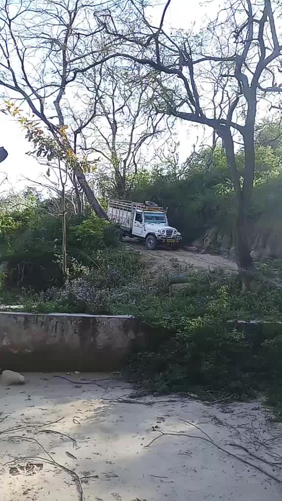 @Bittu Saini Pabla
