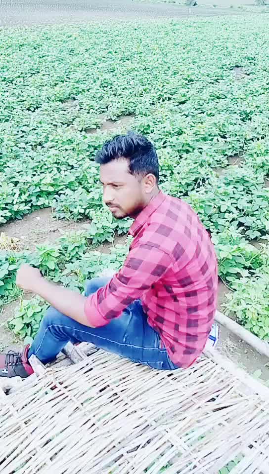 @Romil Ade255