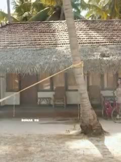 @अक्किभक्त 🕉