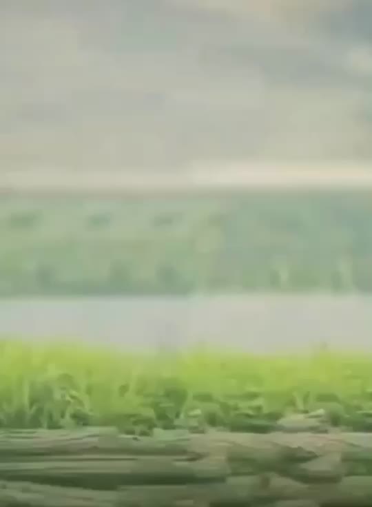 @Shantanu Seth 0912
