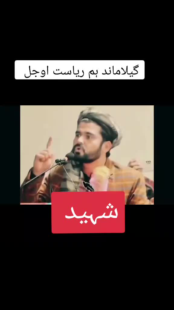 @Pti Tigers