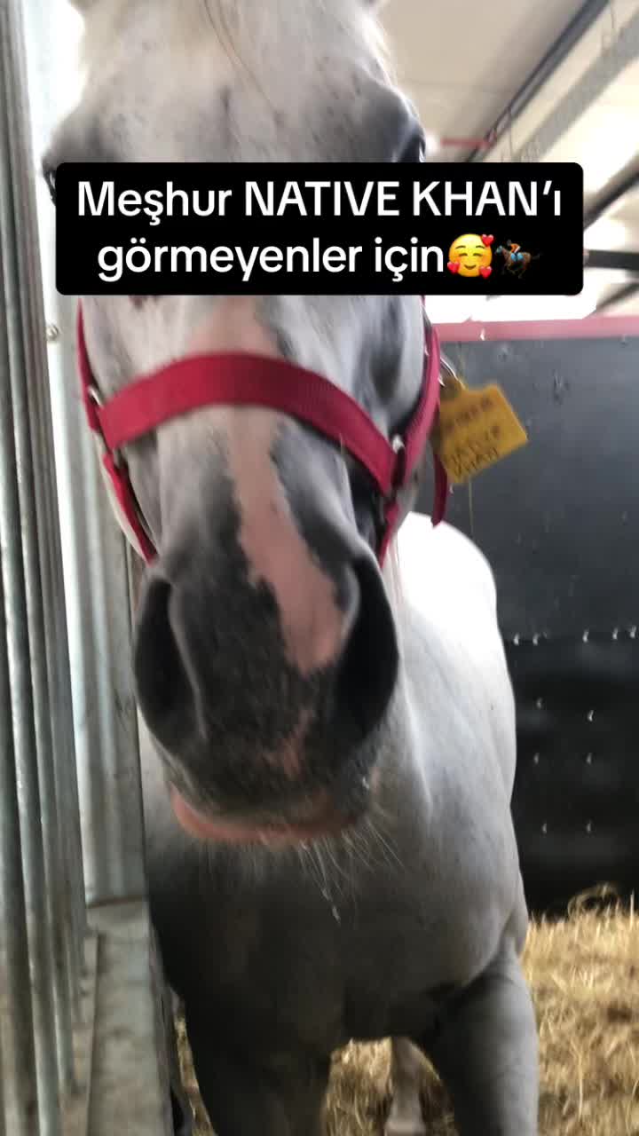 @Koşturan TV