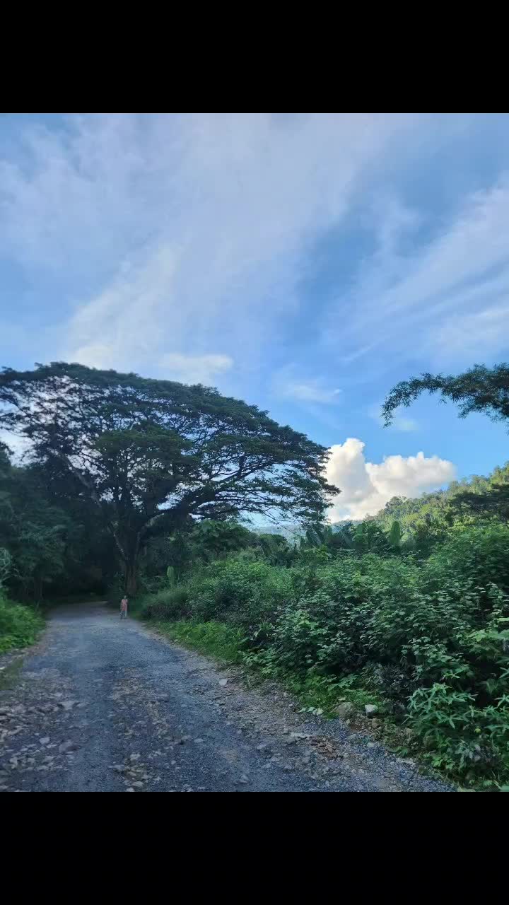 @Bos Thanaphat