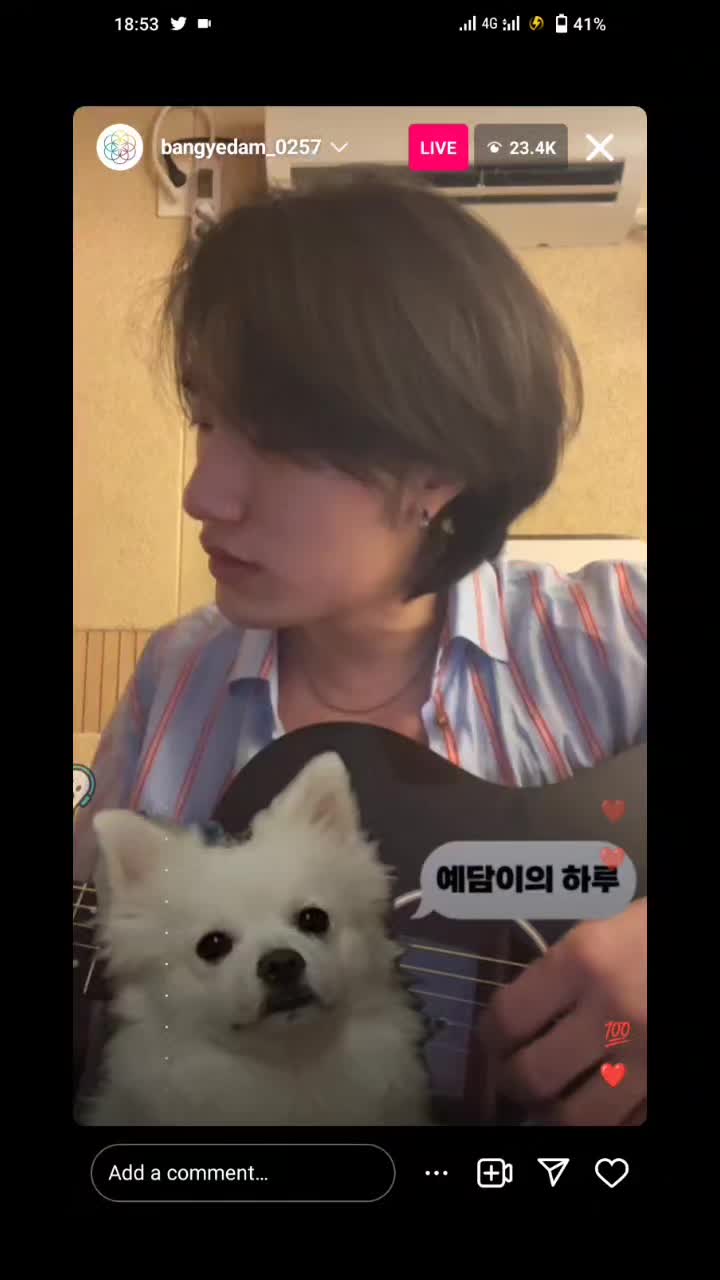 @🧸;bbama🐾