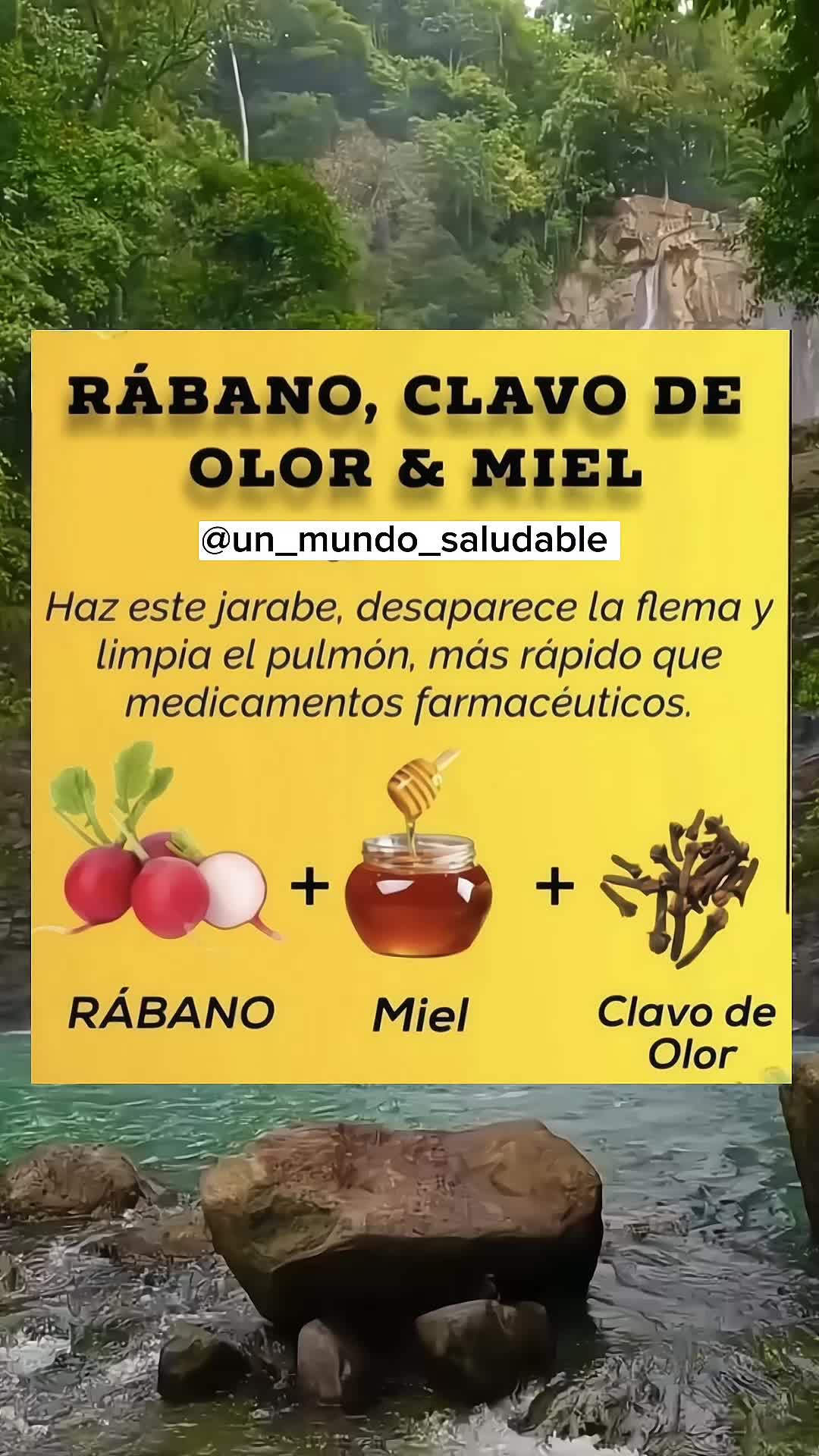 @Un_Mundo_Saludable\☆\