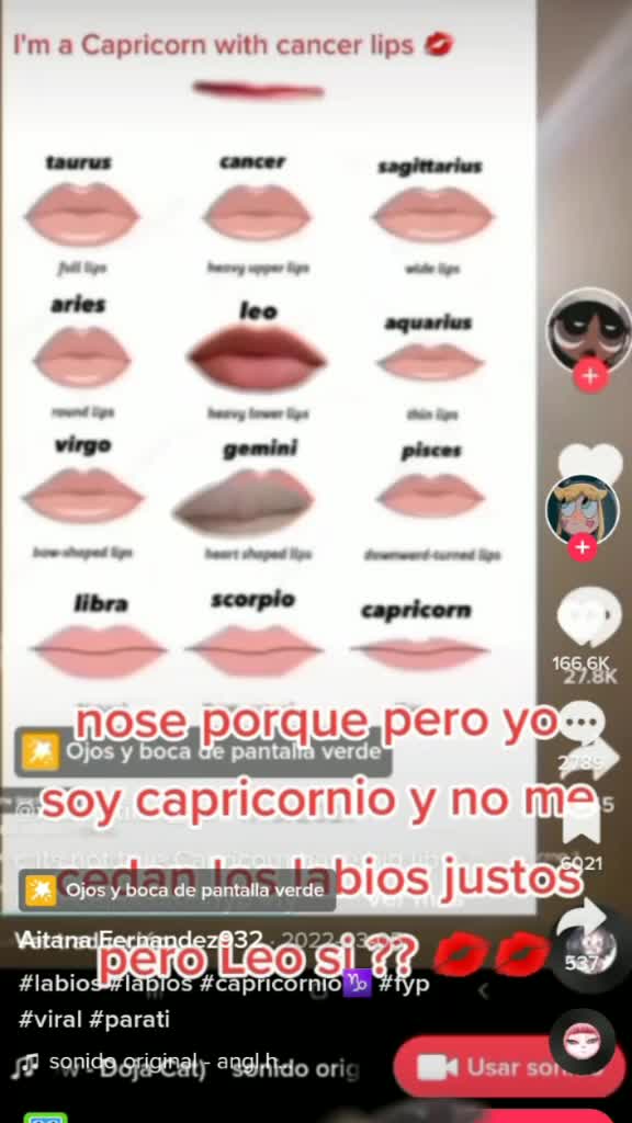 @🦊aylen🦊