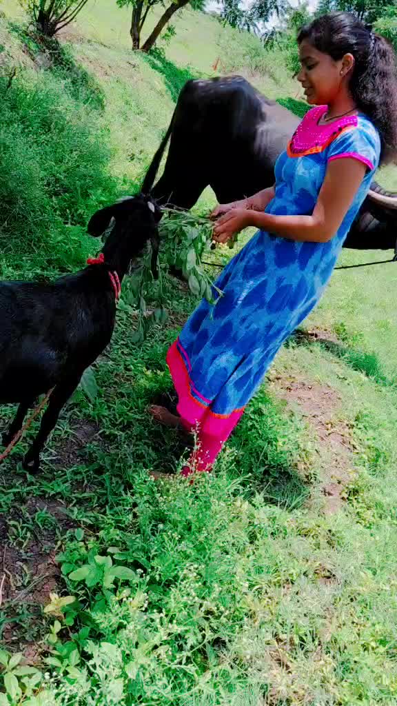 @Gauri Athawale