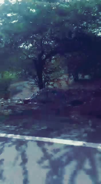@darshanamahor