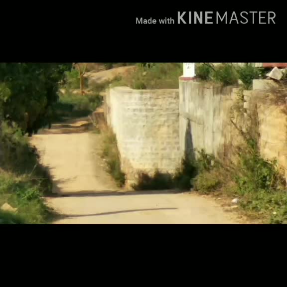 @Pavankumar 45678