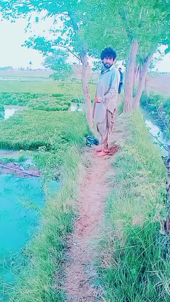 @mujhaid
