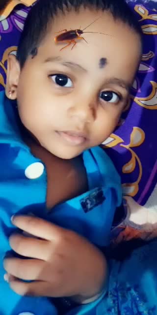 @shravanthi kasa