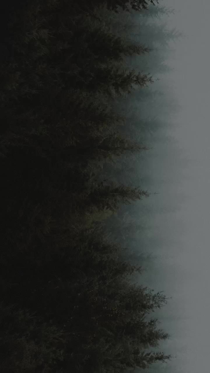 @Ankit Kamble07