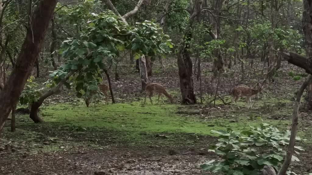 @Jaydip Jethava