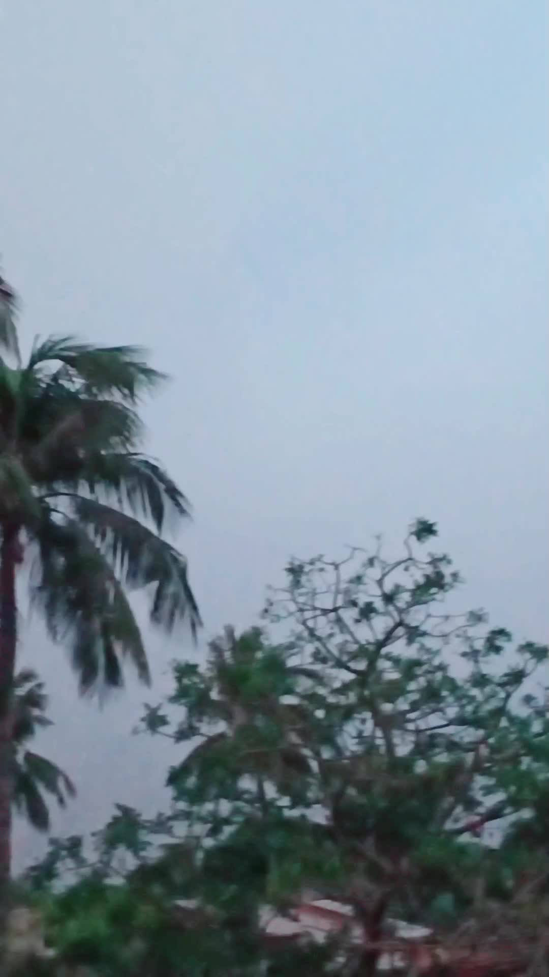 @ᴹᴿ&deg;᭄ᎪᏚᎻᏆK࿐