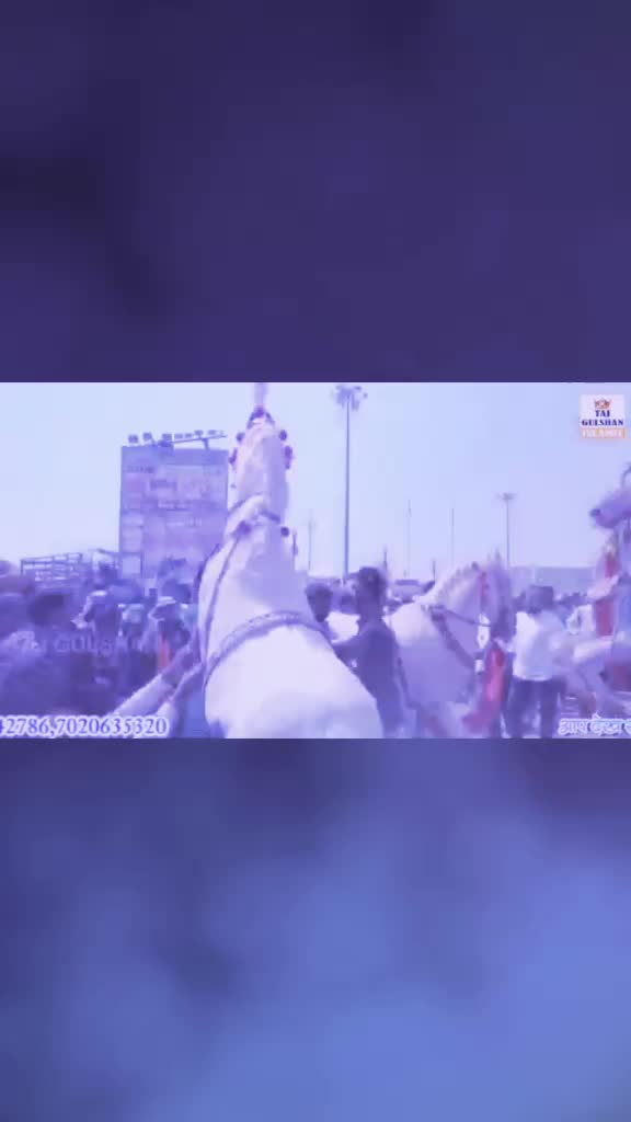 @Rehantaj47