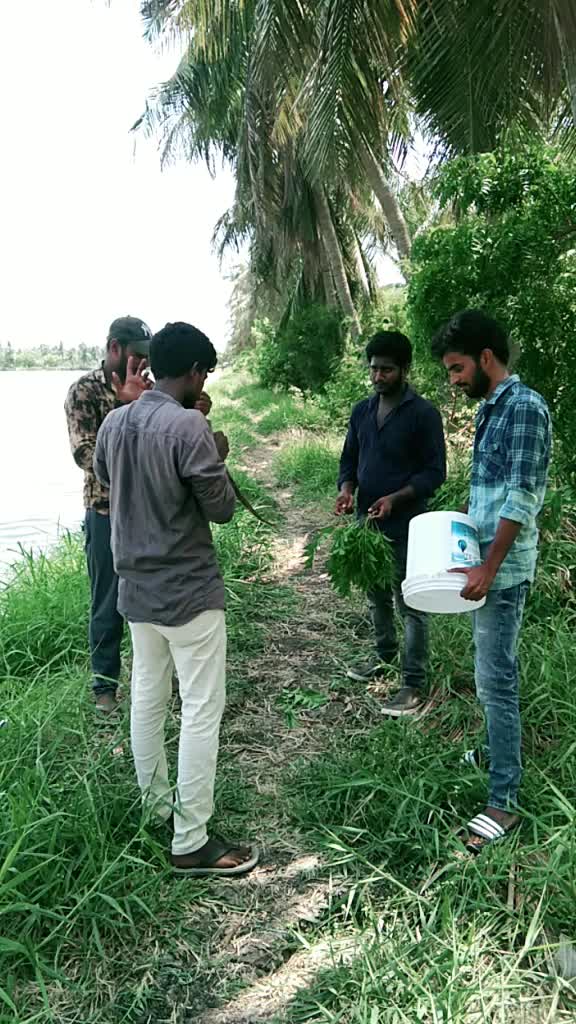 @కింగ్ సాయి