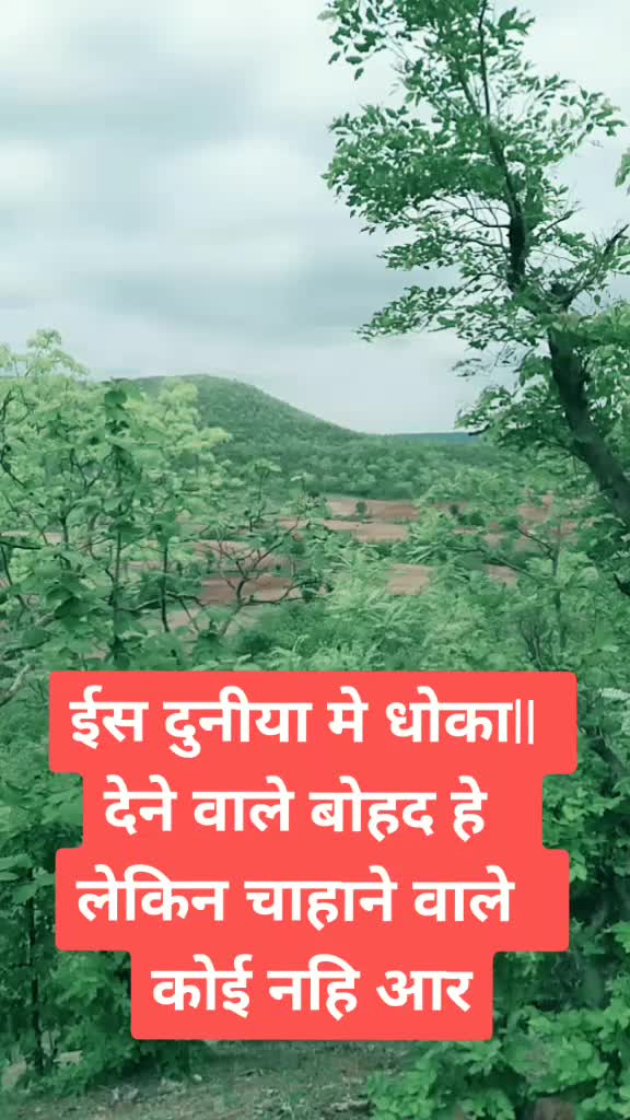 @जय सेवालाल