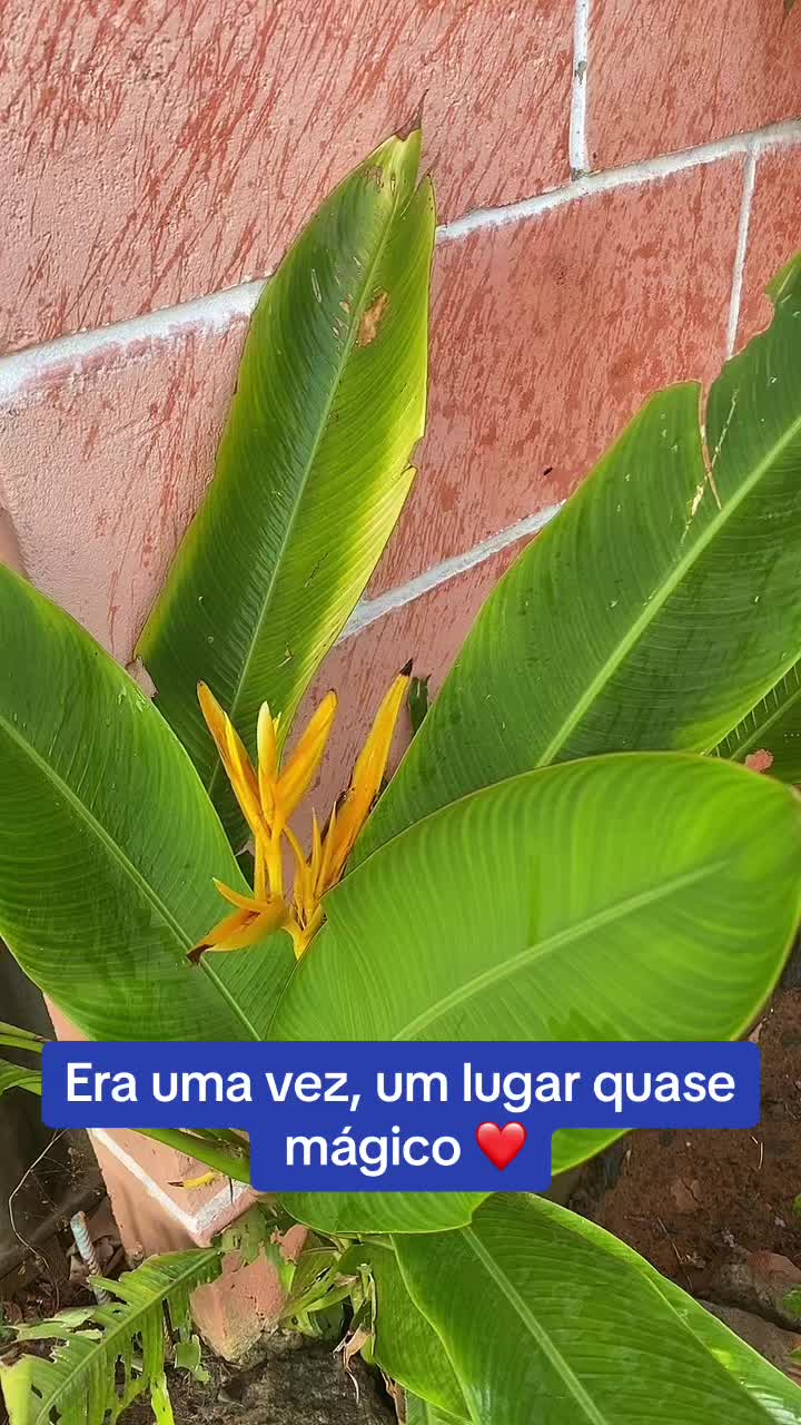 @Paulo Bonif&aacute;cio