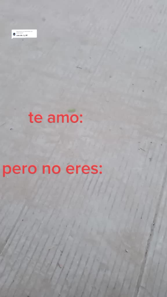 @4l3x