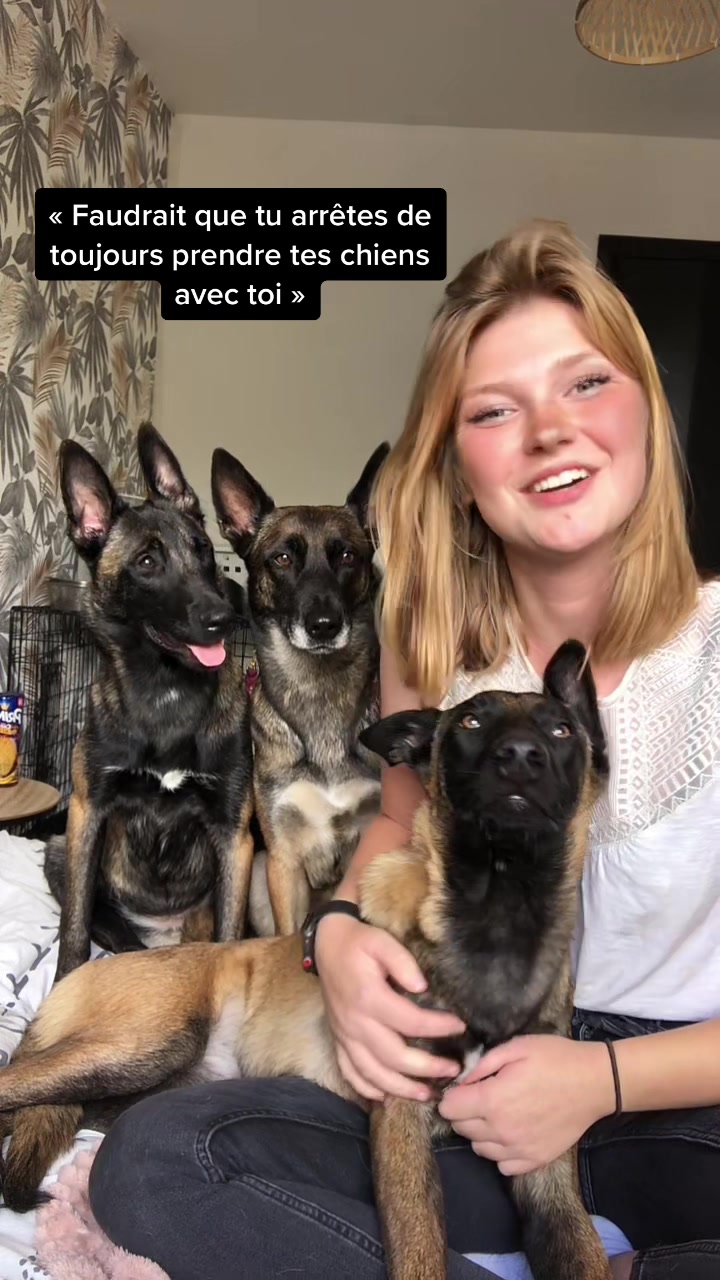 @Otha Malinois