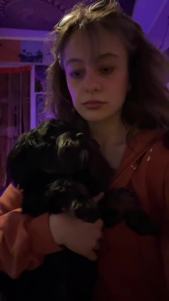 @bella