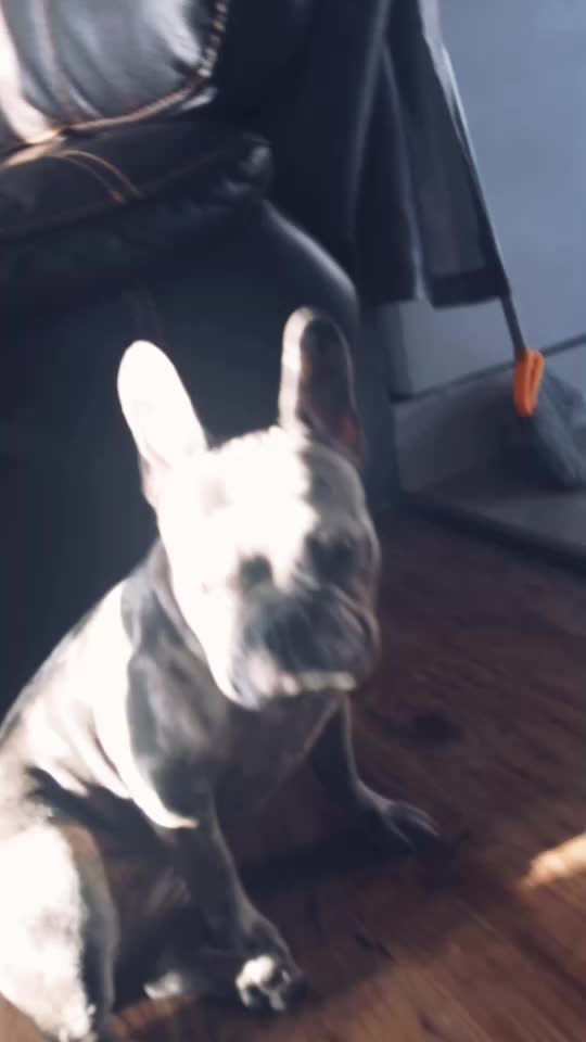 @_ᕼI_ᕼI_